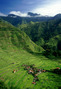 the philippines - batad rice terraces 4.jpg